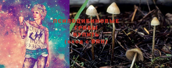 дмт Белоозёрский